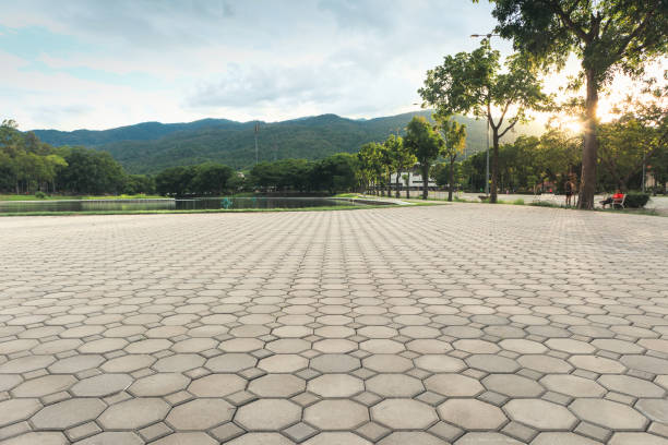 Best Driveway Paver Repair  in Bluff City, TN